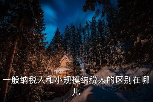 一般納稅人和小規(guī)模納稅人的區(qū)別在哪兒