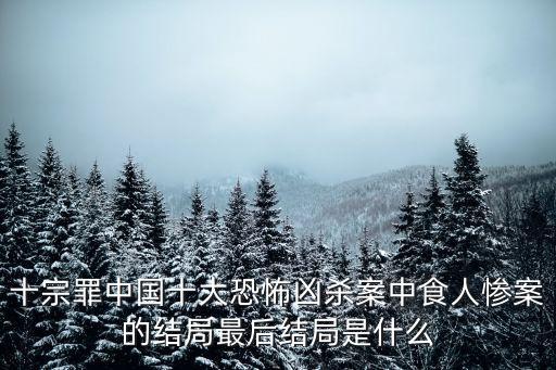 中國十大刑事案件，十宗罪中國十大恐怖兇殺案中食人慘案的結(jié)局最后結(jié)局是什么