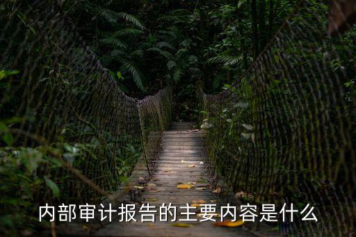 內(nèi)部審計報告，內(nèi)部審計報告的介紹