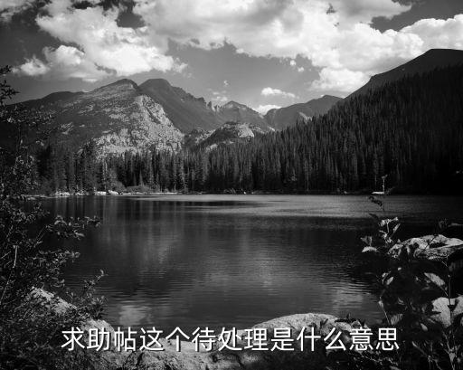 待處理，求助帖這個待處理是什么意思