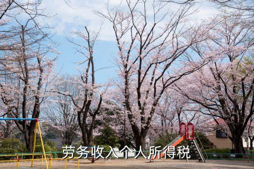 勞務(wù)收入個(gè)人所得稅