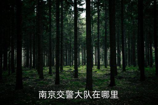 南京交警大隊(duì)在哪里