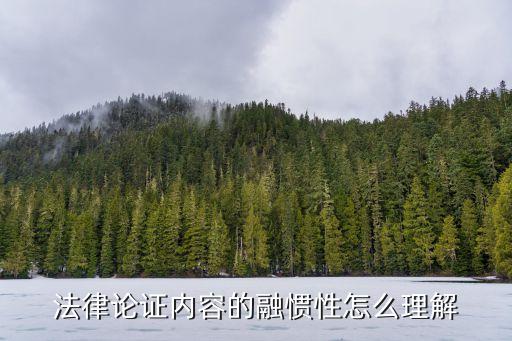 法律論證，argument在法學(xué)里是什么意思