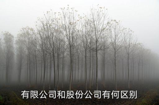 股份公司和有限公司的區(qū)別，有限公司和股份公司有何區(qū)別