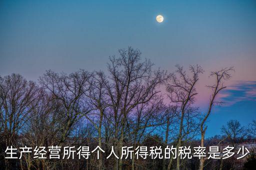 生產(chǎn)經(jīng)營所得個人所得稅的稅率是多少