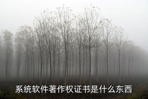 軟件著作權證書，什么是軟件著作權證