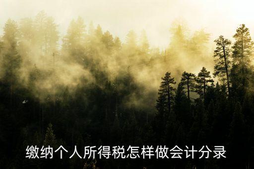 繳納個人所得稅怎樣做會計分錄