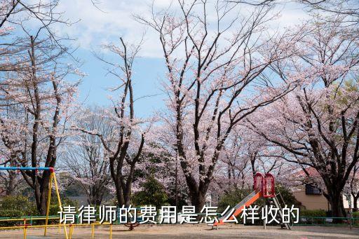 請律師的費用是怎么樣收的