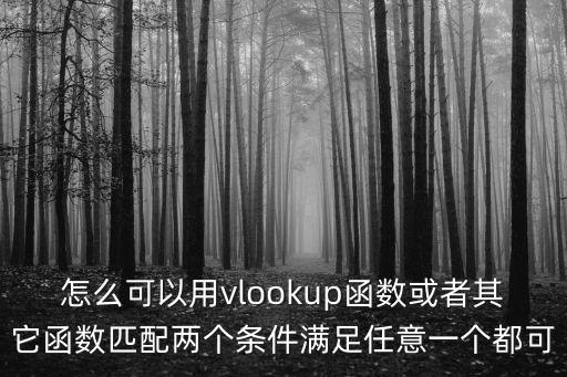 怎么可以用vlookup函數(shù)或者其它函數(shù)匹配兩個條件滿足任意一個都可