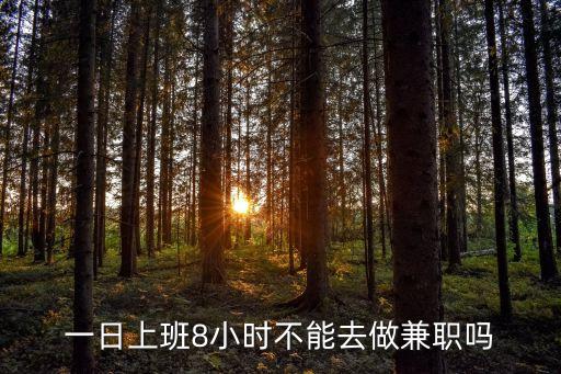 兼職時(shí)間，做兼職一小時(shí)大概有多少啊