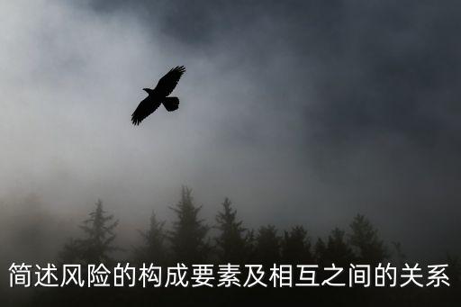 風(fēng)險因素，簡述風(fēng)險的構(gòu)成要素及相互之間的關(guān)系