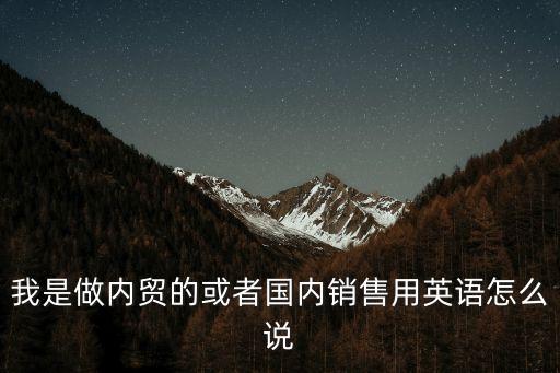 我是做內(nèi)貿(mào)的或者國內(nèi)銷售用英語怎么說