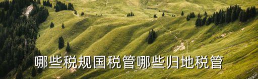 哪些稅規(guī)國稅管哪些歸地稅管