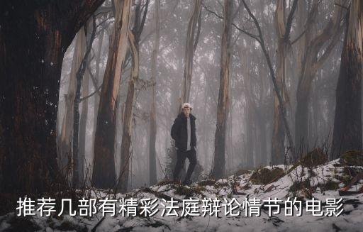 法律電影，推薦幾部有精彩法庭辯論情節(jié)的電影