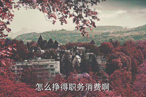 職務(wù)消費，職務(wù)消費是什么