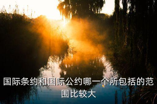 國(guó)際條約，國(guó)際條約和國(guó)際公約哪一個(gè)所包括的范圍比較大