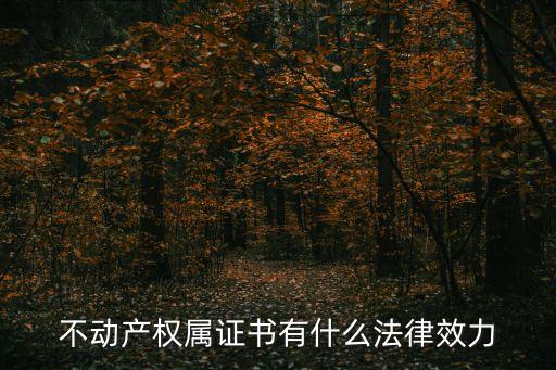 不動(dòng)產(chǎn)權(quán)屬證書有什么法律效力