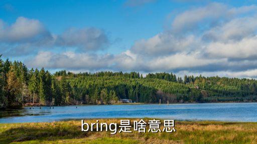 bring是啥意思