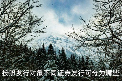 按照發(fā)行對(duì)象不同證券發(fā)行可分為哪些