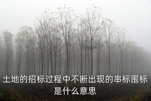 土地的招標(biāo)過程中不斷出現(xiàn)的串標(biāo)圍標(biāo)是什么意思