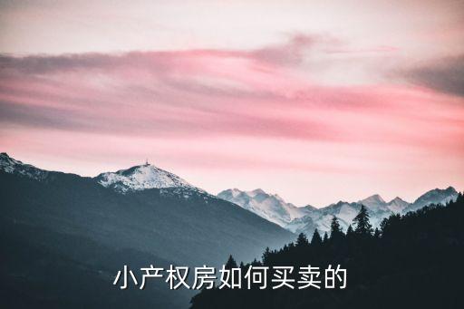 小產(chǎn)權(quán)房如何買賣的