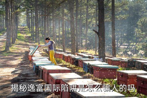逸富國際，揭秘逸富國際陷阱是怎么騙人的嗎