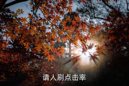 請人刷點擊率