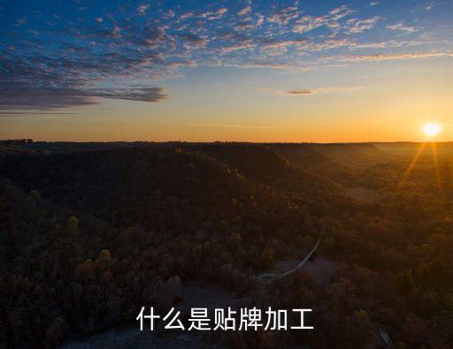 什么是貼牌加工