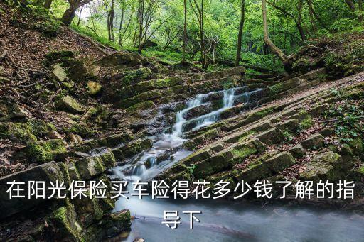 在陽光保險買車險得花多少錢了解的指導(dǎo)下