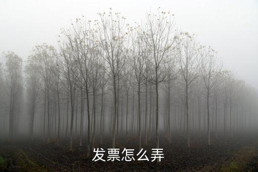發(fā)票怎么弄