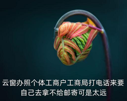 云窗辦照，電商營業(yè)執(zhí)照可以在云窗辦照辦嗎