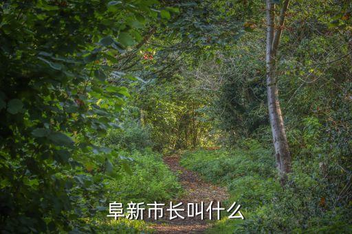 阜新市長(zhǎng)叫什么