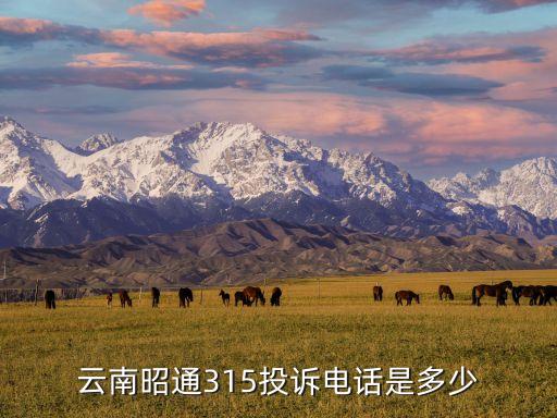 云南昭通315投訴電話是多少