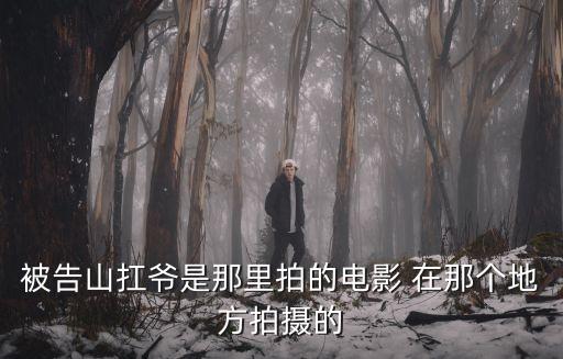 被告山扛爺是那里拍的電影 在那個(gè)地方拍攝的