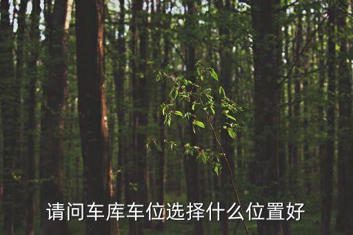 車庫停車，請問車庫車位選擇什么位置好