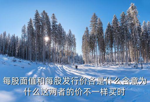 每股發(fā)行價(jià)，每股面值 每股發(fā)行價(jià)格 是什么意思