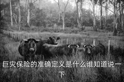 巨災(zāi)保險，巨災(zāi)保險作用的是什么