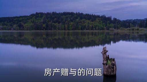 房產(chǎn)贈(zèng)與的問題