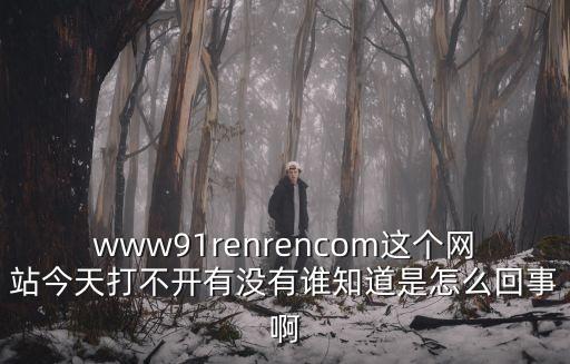 www91renrencom這個網(wǎng)站今天打不開有沒有誰知道是怎么回事啊