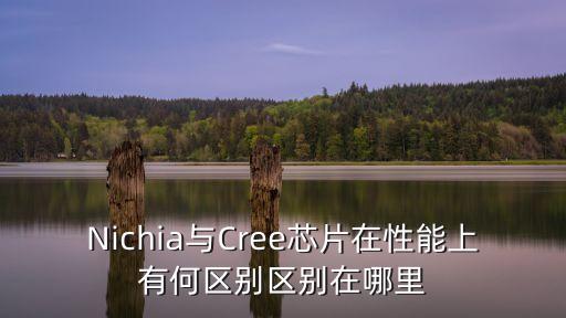 NICHIA，nichia日亞led燈有誰在代理嗎