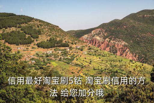 刷信用，信用最好淘寶刷5鉆 淘寶刷信用的方法 給您加分哦