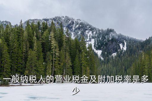 一般納稅人的營(yíng)業(yè)稅金及附加稅率是多少
