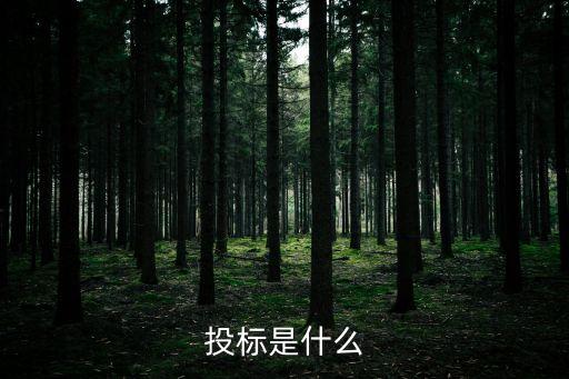 投標是什么