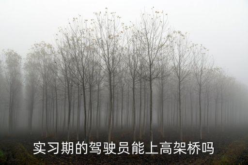 實(shí)習(xí)期能上高架嗎，新手開車實(shí)習(xí)期間可以上高架嗎