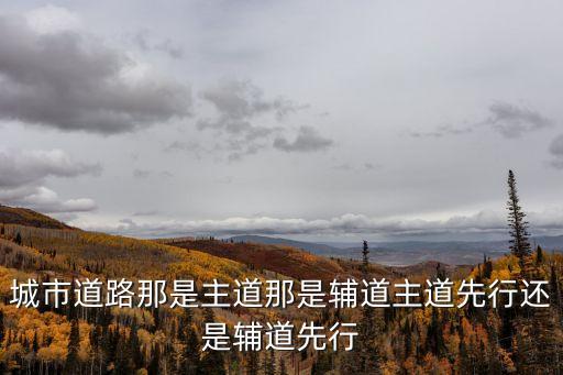 輔道，輔道的定義是什么