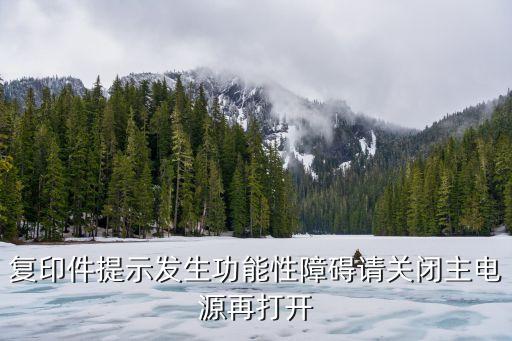 功能障礙，腦神經(jīng)功能障礙 能功能障礙 腦功能障礙怎么治療