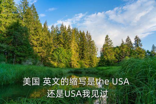 美國 英文的縮寫是the USA 還是USA我見過