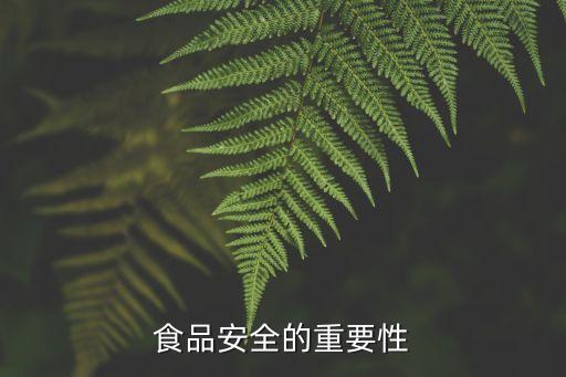 食品安全的重要性