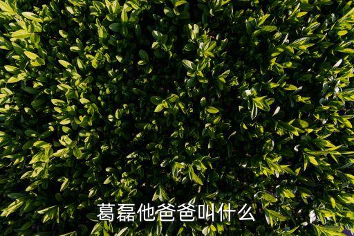 葛磊他爸爸叫什么