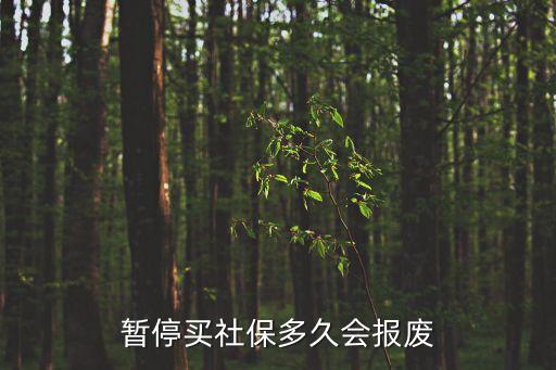 暫停買社保多久會(huì)報(bào)廢